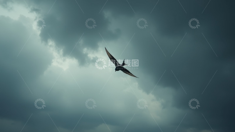 高清大图下载【趣麦麦图】乌云中独自飞行的燕子