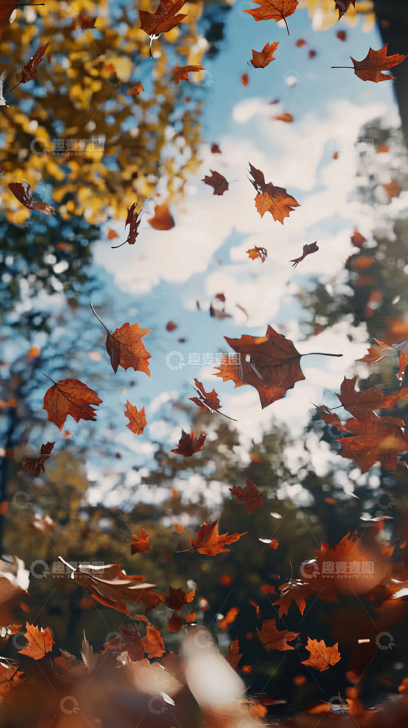 高清大图下载【趣麦麦图】秋叶飞舞蓝天白云