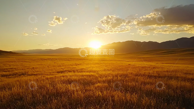 高清大图下载【趣麦麦图】金色麦田日落黄昏景色