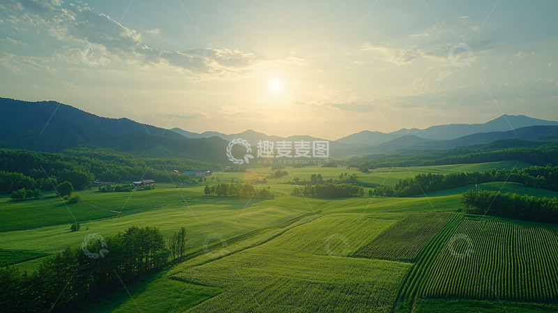 高清大图下载【趣麦麦图】阳光洒在绿色的田野上
