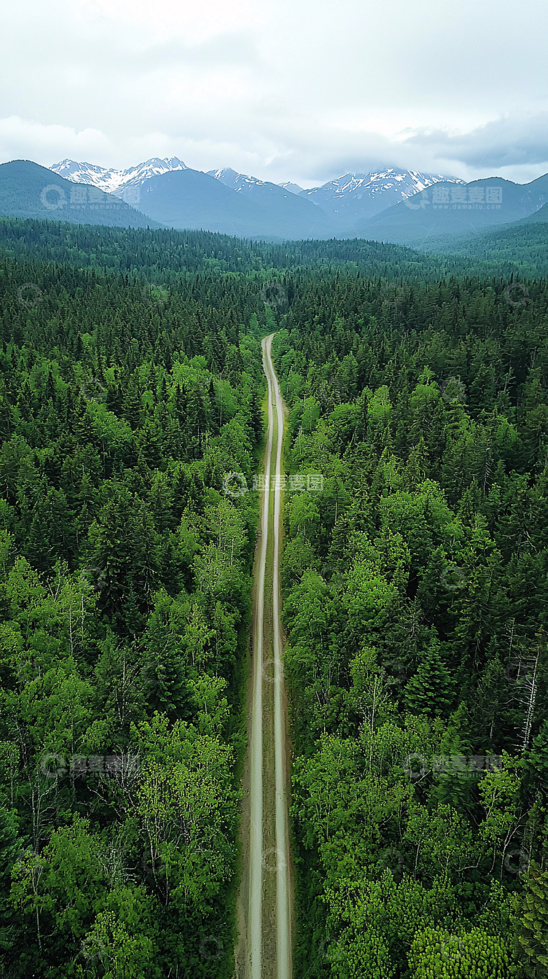 高清大图下载【趣麦麦图】森林中的道路