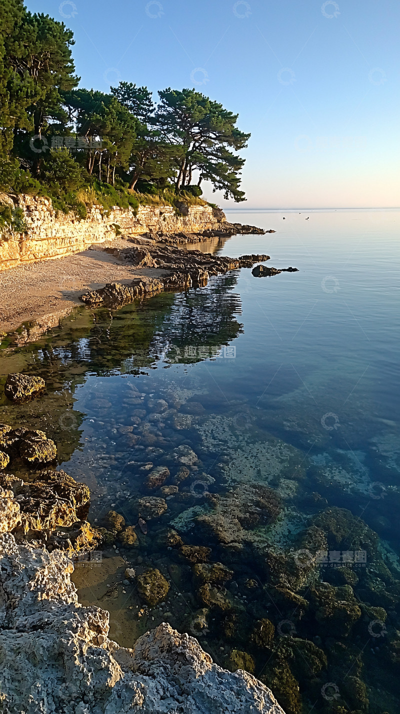 高清大图下载【趣麦麦图】清晨海边松树岩石