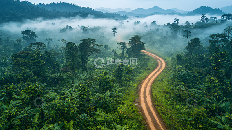 高清大图下载【趣麦麦图】热带雨林中的蜿蜒道路