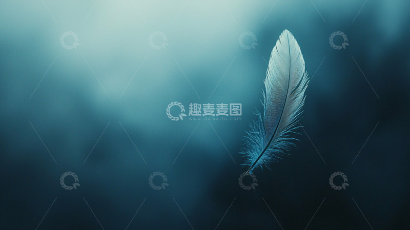 高清大图下载【趣麦麦图】雾中飘落的白色羽毛