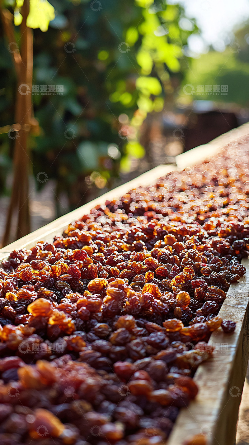 高清大图下载【趣麦麦图】葡萄干晾晒