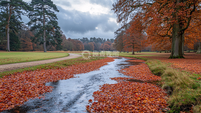 高清大图下载【趣麦麦图】秋日小溪落叶景色
