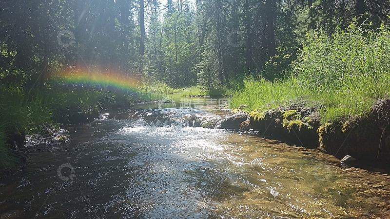 高清大图下载【趣麦麦图】森林溪流阳光彩虹