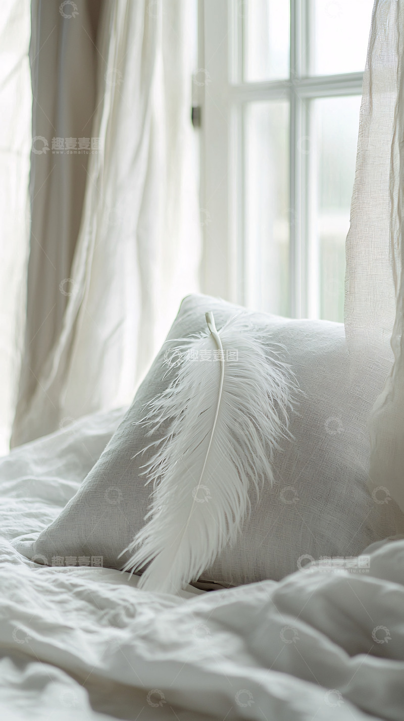 高清大图下载【趣麦麦图】白色羽毛枕头窗边