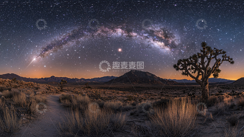 高清大图下载【趣麦麦图】星空下的沙漠孤树