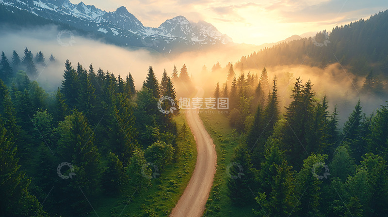 高清大图下载【趣麦麦图】蜿蜒山路穿过森林的迷人景象