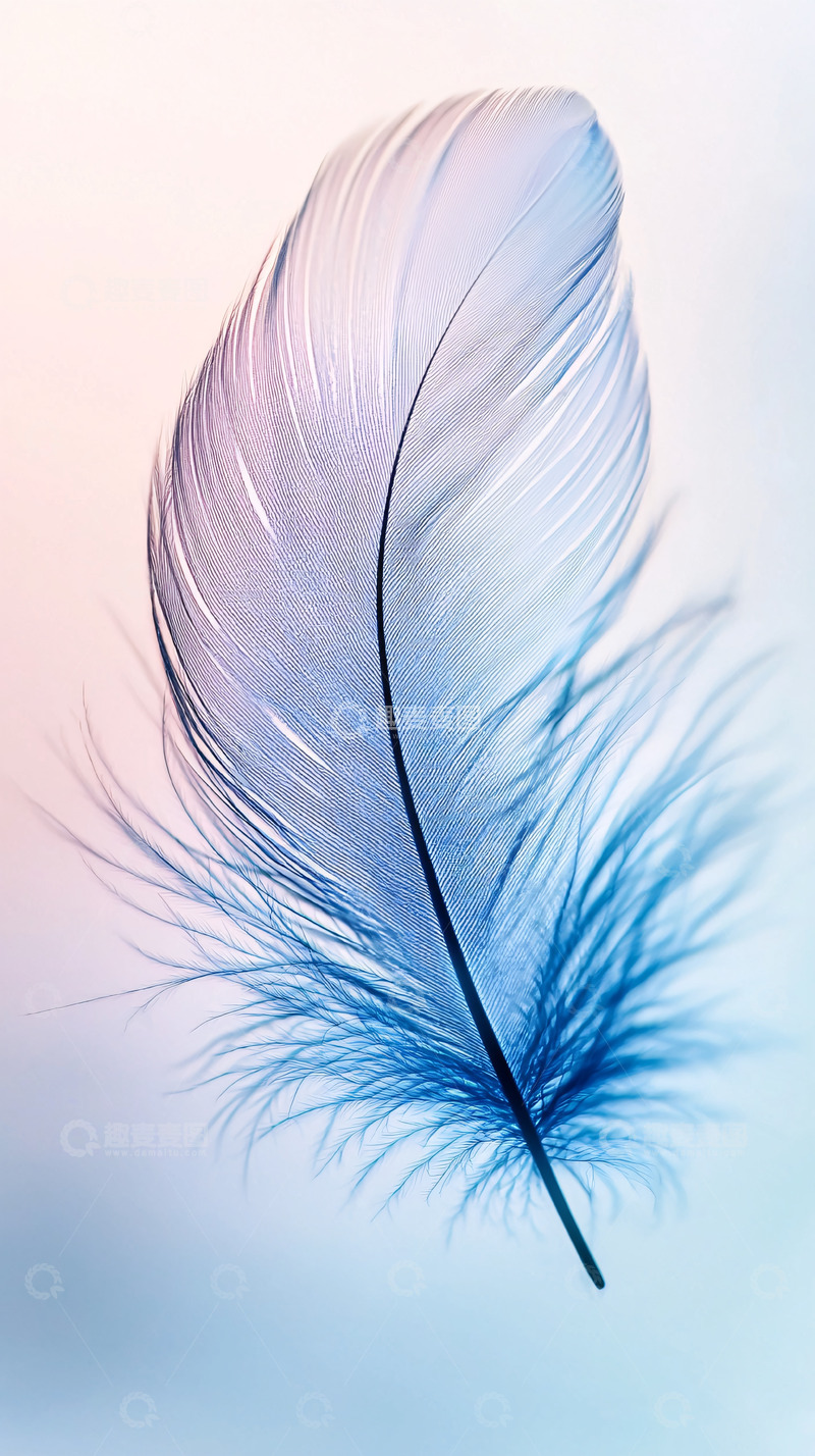 高清大图下载【趣麦麦图】轻柔梦幻的蓝色羽毛