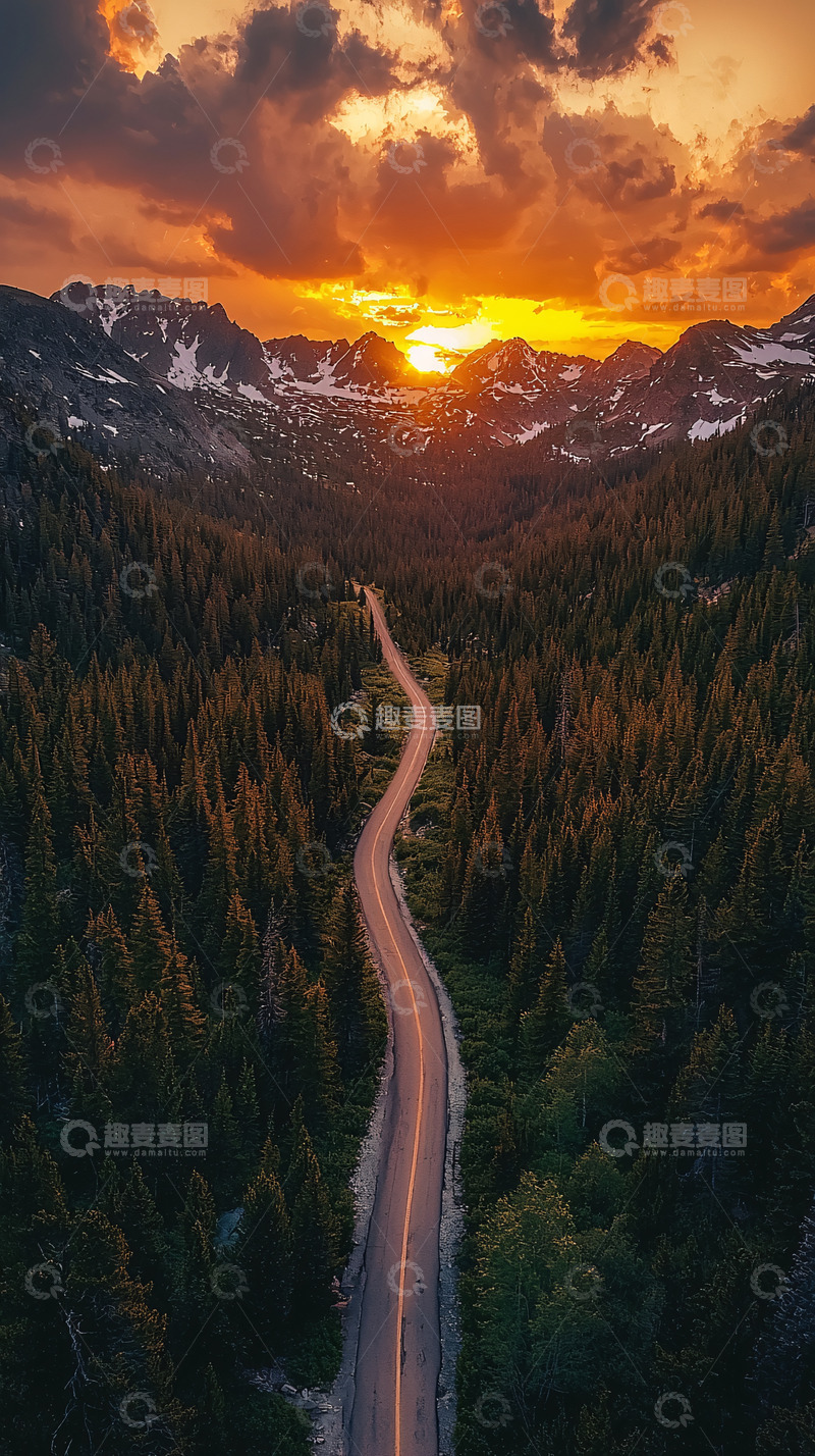 高清大图下载【趣麦麦图】夕阳下的公路森林