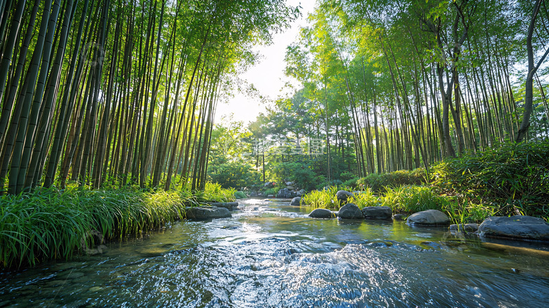 高清大图下载【趣麦麦图】阳光透过竹林溪流