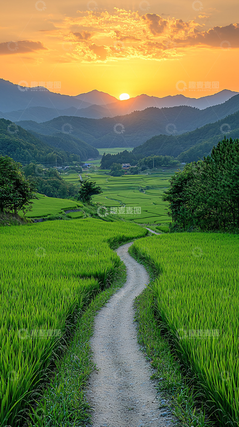 高清大图下载【趣麦麦图】落日余晖下的田园小路