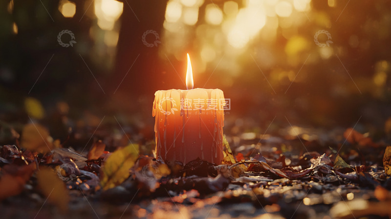 高清大图下载【趣麦麦图】森林中燃烧的蜡烛