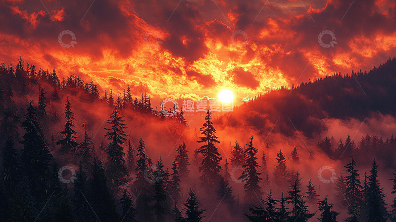 高清大图下载【趣麦麦图】火烧云下的森林