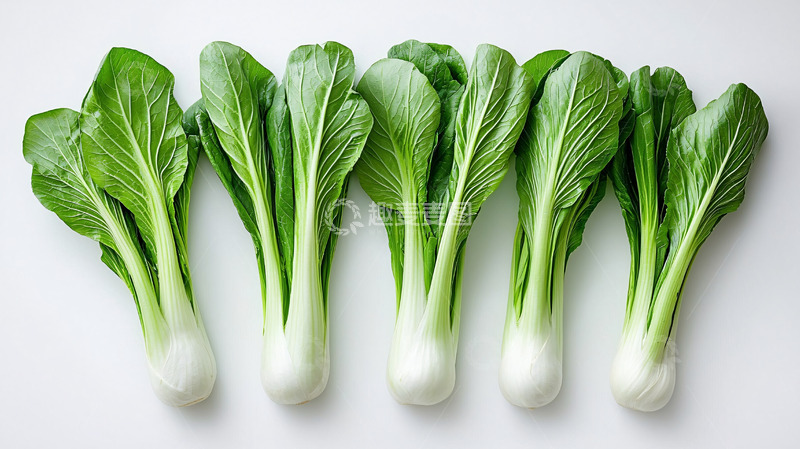 高清大图下载【趣麦麦图】小白菜