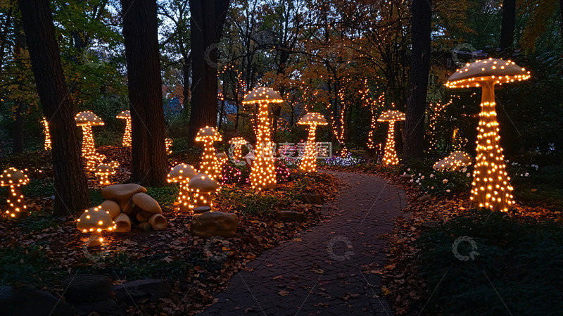 高清大图下载【趣麦麦图】夜晚森林小路蘑菇灯
