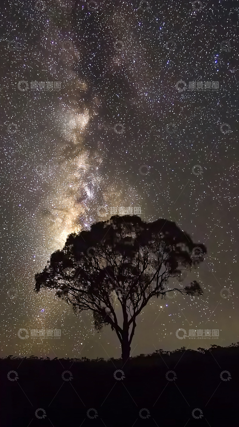 高清大图下载【趣麦麦图】星空下的树
