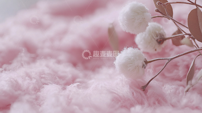 高清大图下载【趣麦麦图】粉色毛绒背景