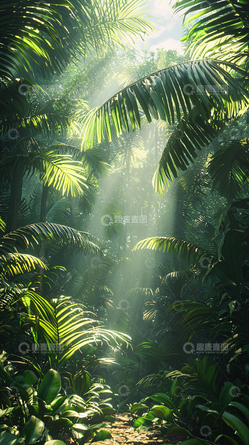 高清大图下载【趣麦麦图】热带雨林光线