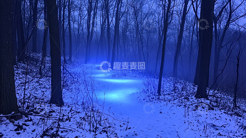 高清大图下载【趣麦麦图】蓝光森林小路