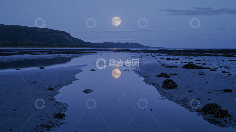 高清大图下载【趣麦麦图】月光下的海滩