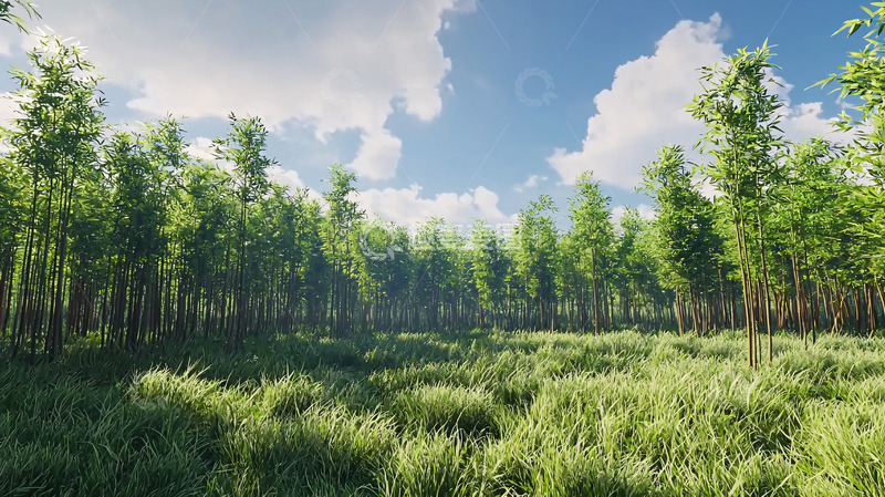 高清大图下载【趣麦麦图】阳光明媚的森林草地