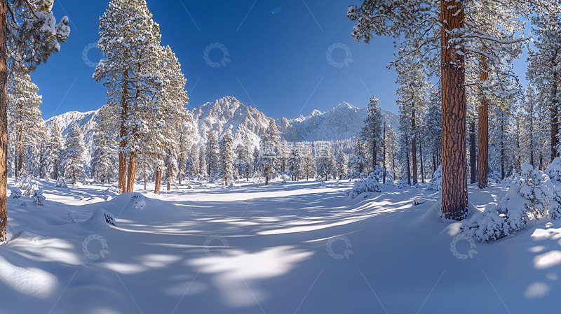 高清大图下载【趣麦麦图】白雪覆盖的森林山脉