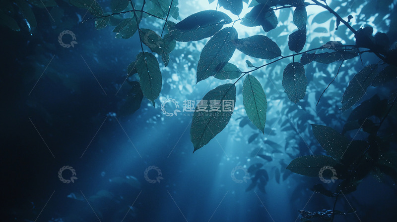 高清大图下载【趣麦麦图】光线透过树叶