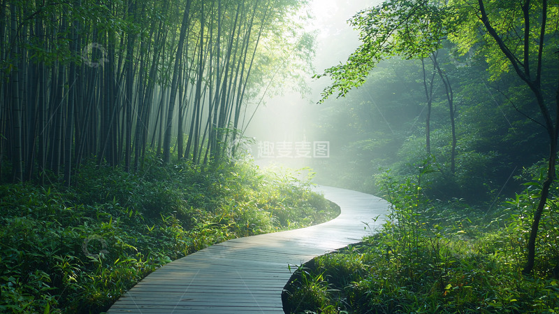 高清大图下载【趣麦麦图】翠绿竹林中的小路