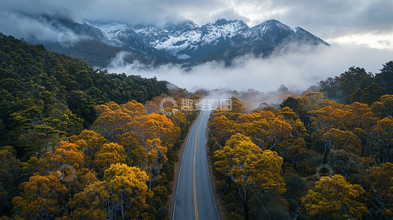 高清大图下载【趣麦麦图】秋色森林中的公路