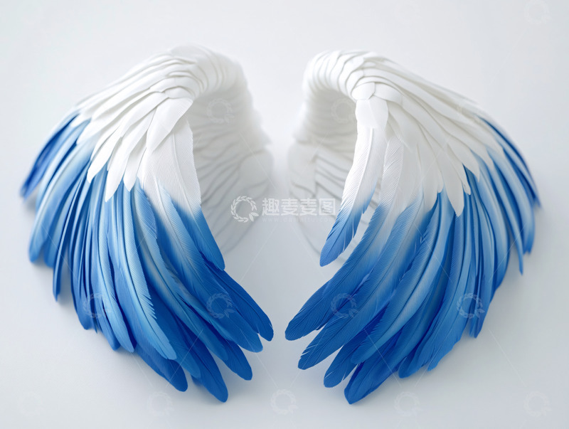 高清大图下载【趣麦麦图】白色渐变蓝色翅膀