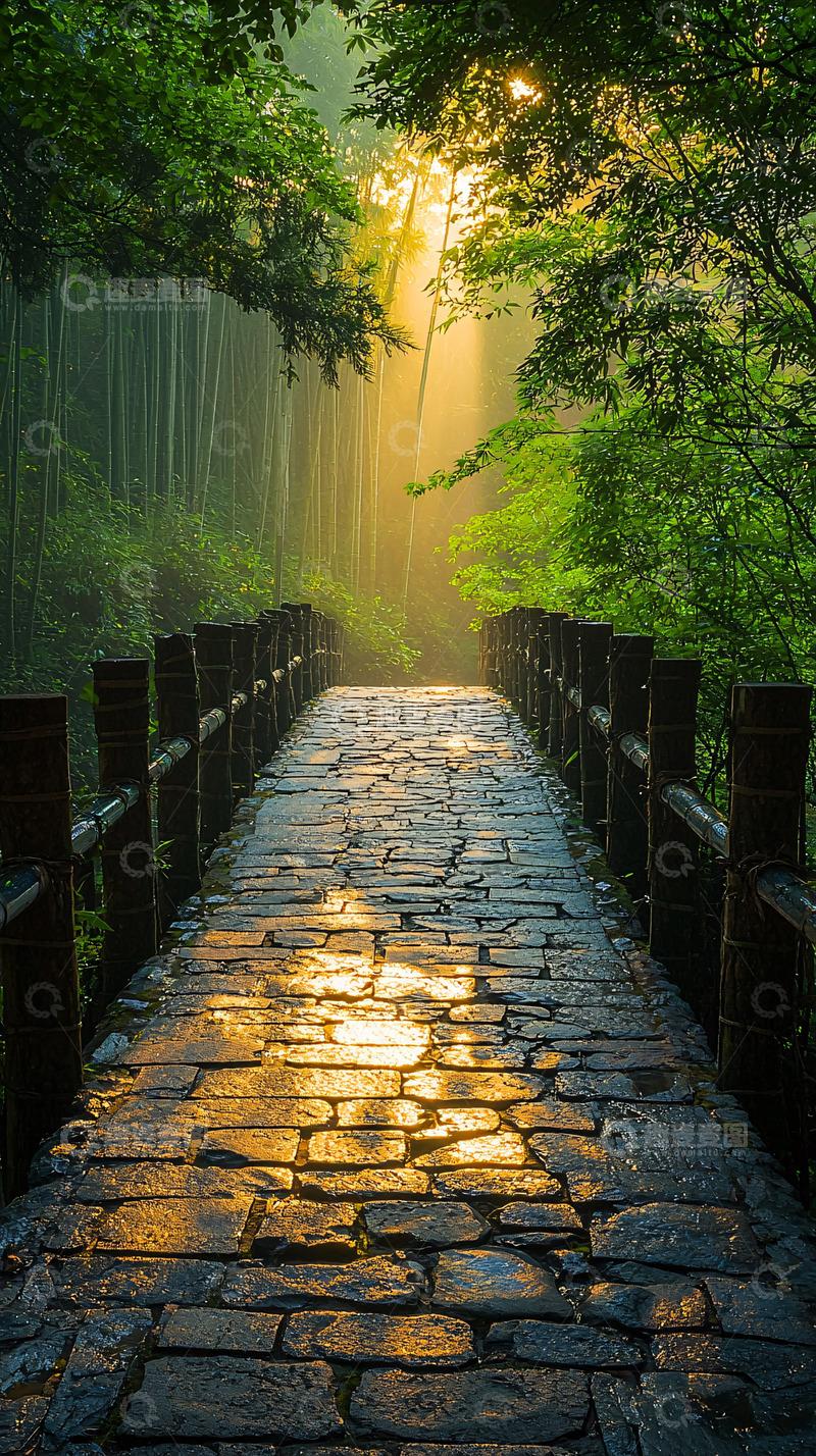 高清大图下载【趣麦麦图】森林中的石桥