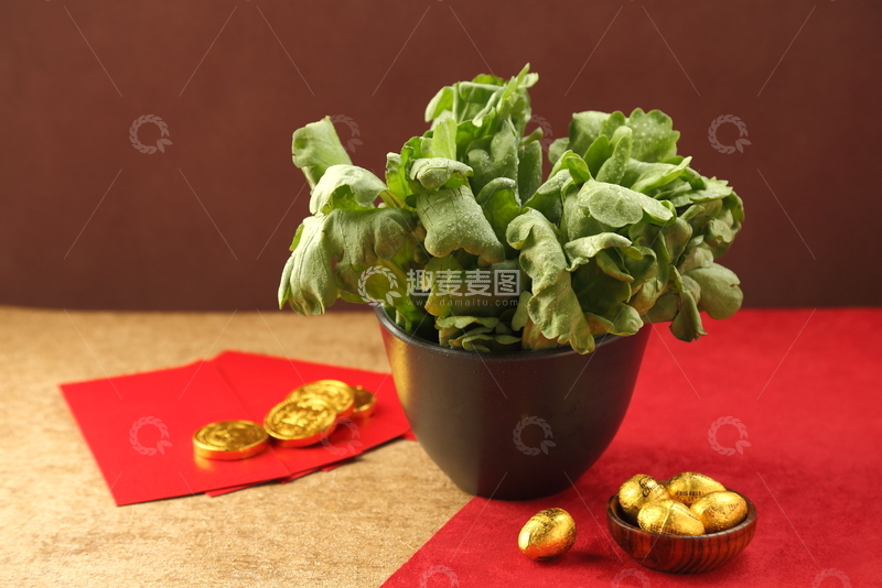 高清大图下载【趣麦麦图】火锅配菜广东大叶茼蒿