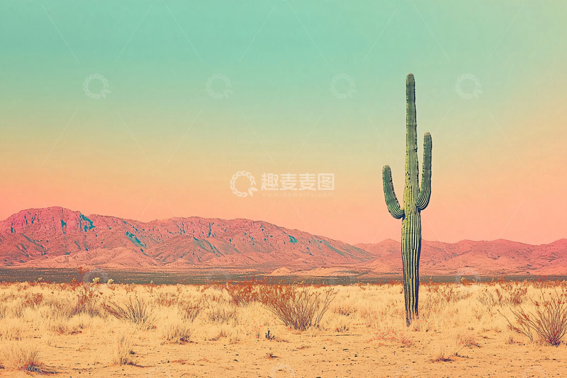 高清大图下载【趣麦麦图】沙漠仙人掌风景