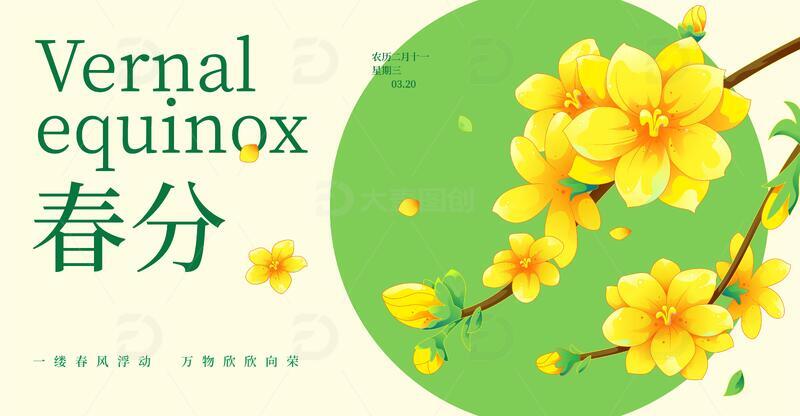 春分海报迎春花插画