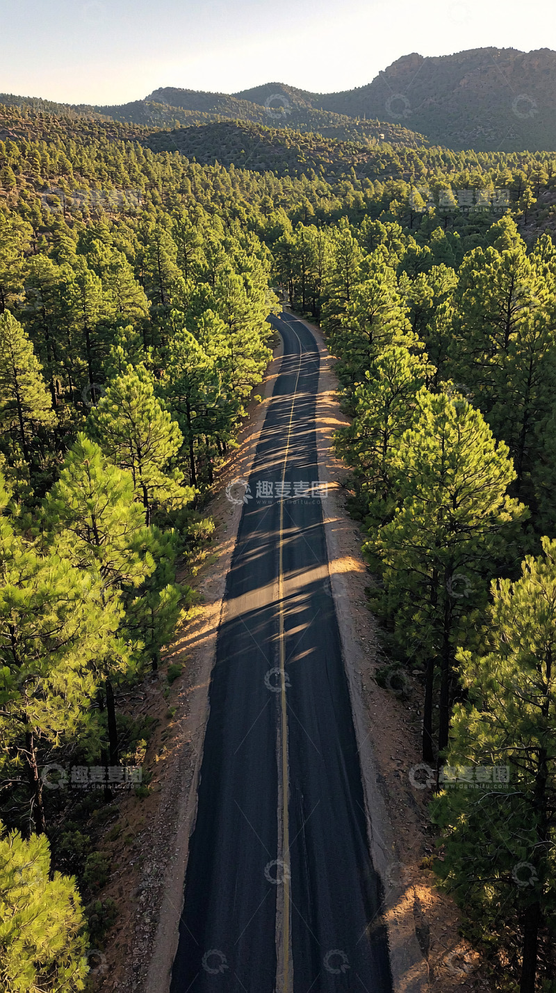高清大图下载【趣麦麦图】蜿蜒公路穿梭于森林中