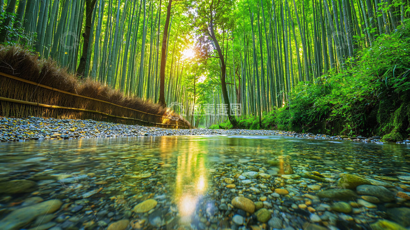 高清大图下载【趣麦麦图】阳光下的竹林小溪