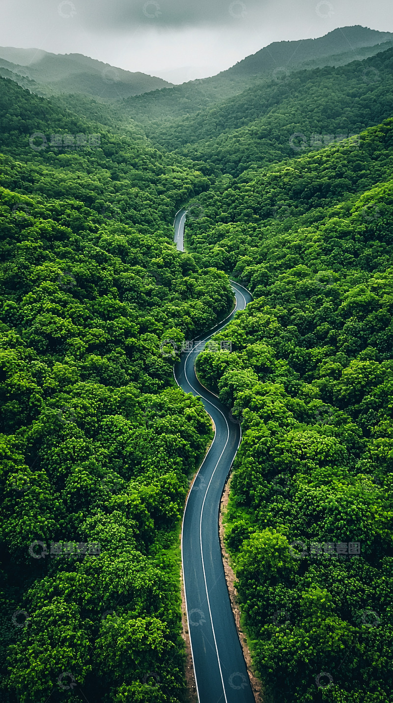 高清大图下载【趣麦麦图】蜿蜒山路穿梭于茂密森林