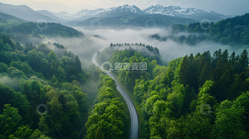高清大图下载【趣麦麦图】葱郁森林中蜿蜒道路