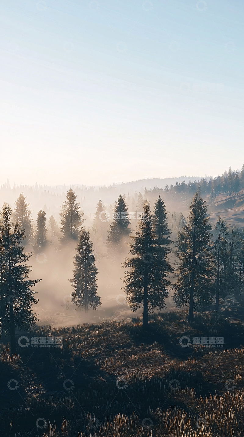 高清大图下载【趣麦麦图】雾气缭绕的松树林