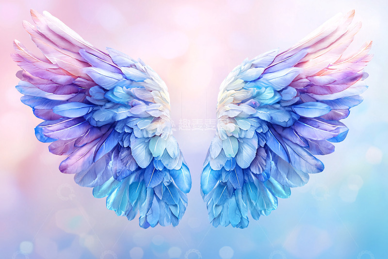 高清大图下载【趣麦麦图】梦幻彩色翅膀