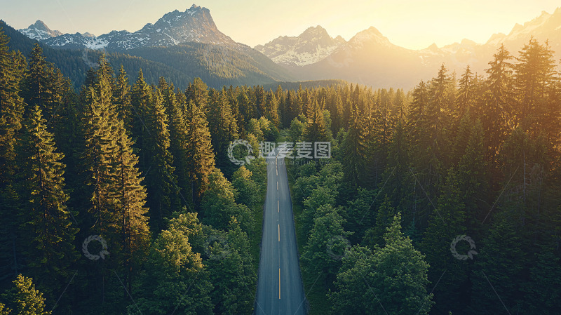 高清大图下载【趣麦麦图】森林公路日出美景