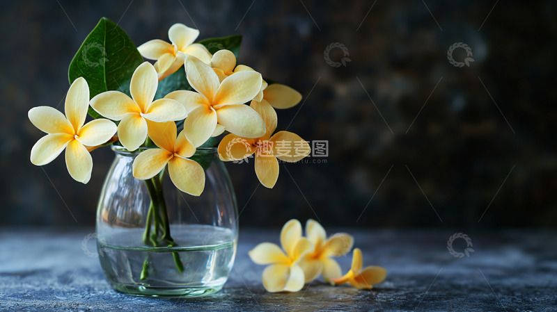 高清大图下载【趣麦麦图】黄花插花玻璃瓶