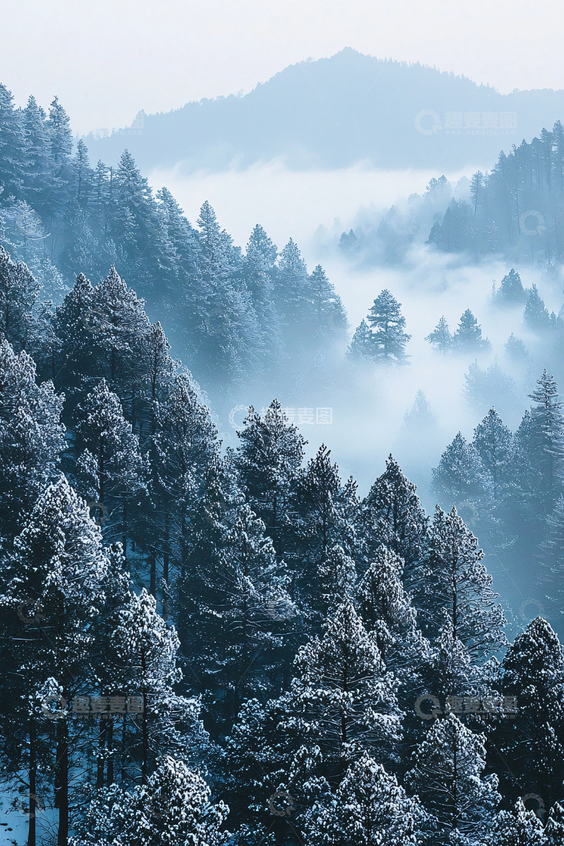 高清大图下载【趣麦麦图】雾气笼罩的雪山森林