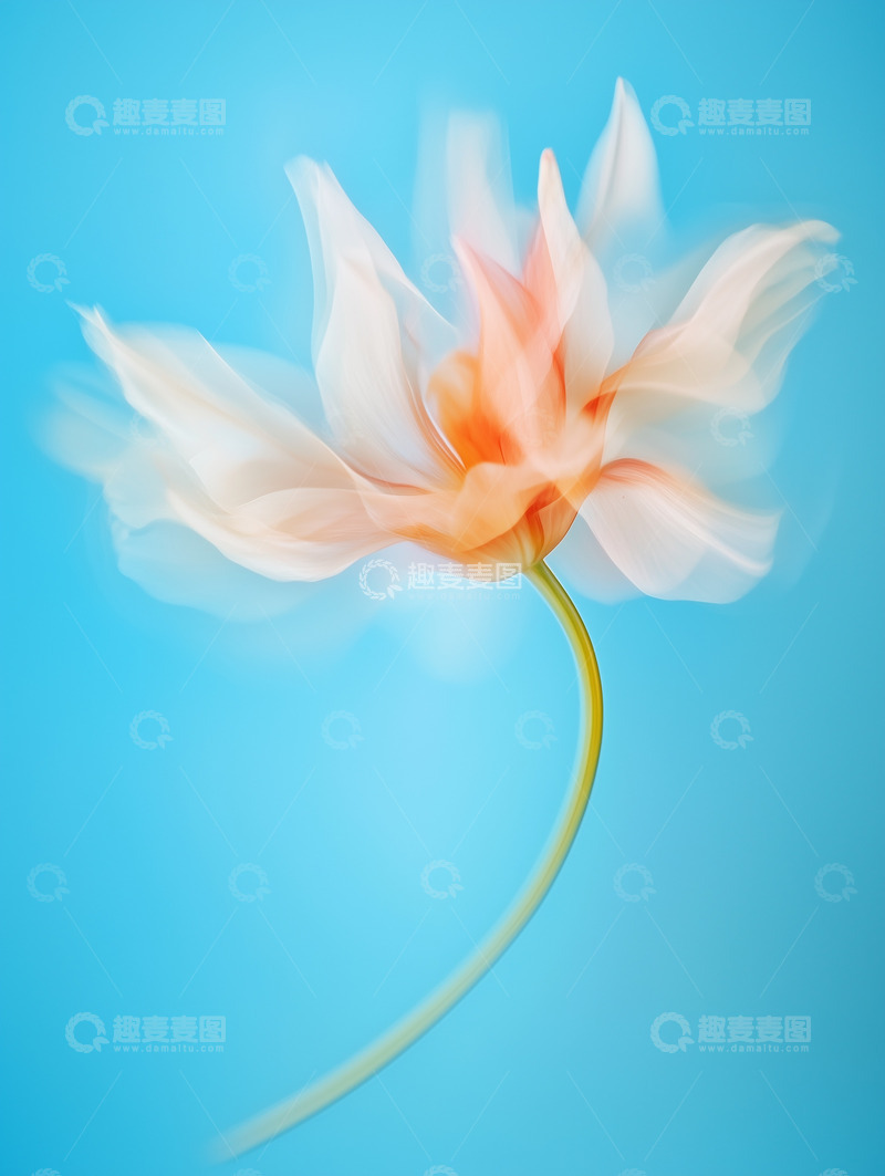 高清大图下载【趣麦麦图】蓝色背景动感橙色花朵图