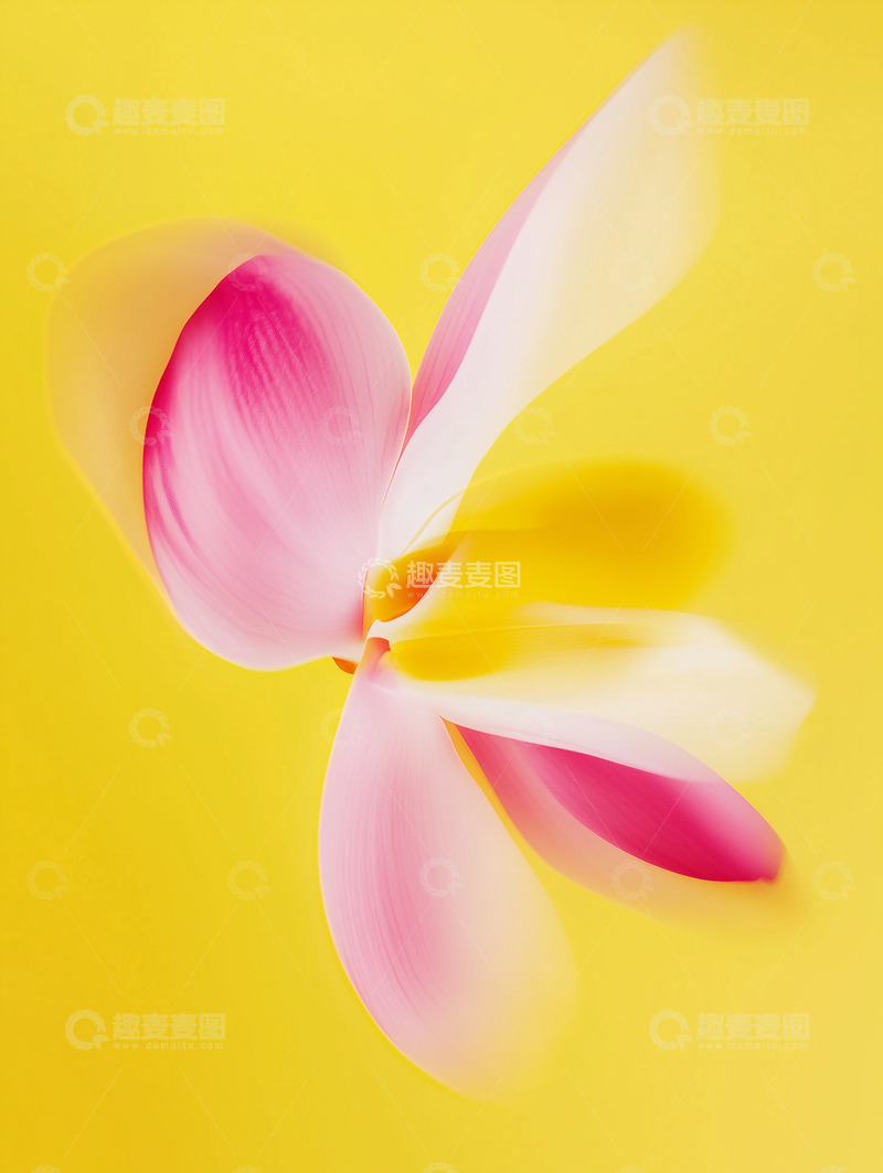 高清大图下载【趣麦麦图】黄色背景粉色花瓣艺术动感图