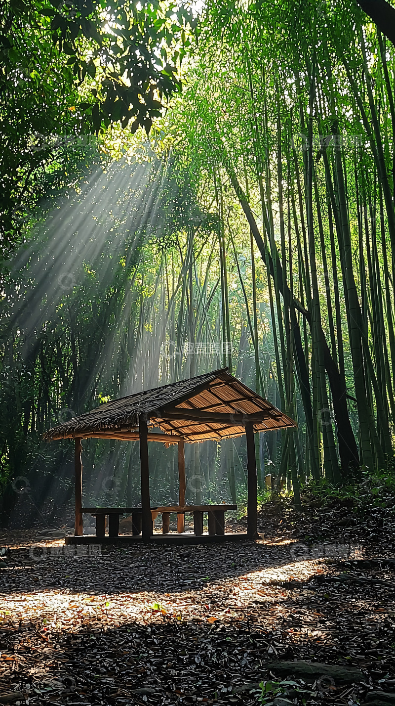 高清大图下载【趣麦麦图】竹林小屋