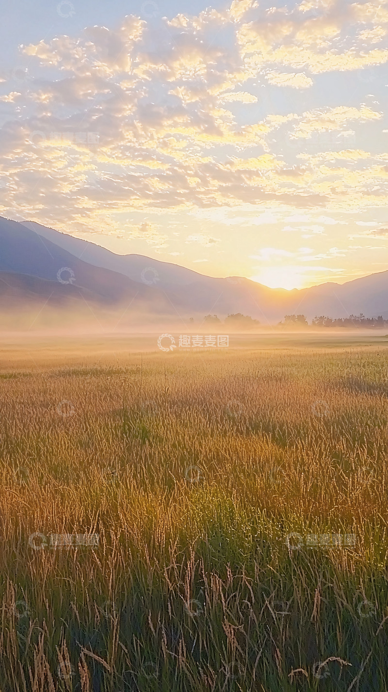 高清大图下载【趣麦麦图】清晨麦田山峦日出